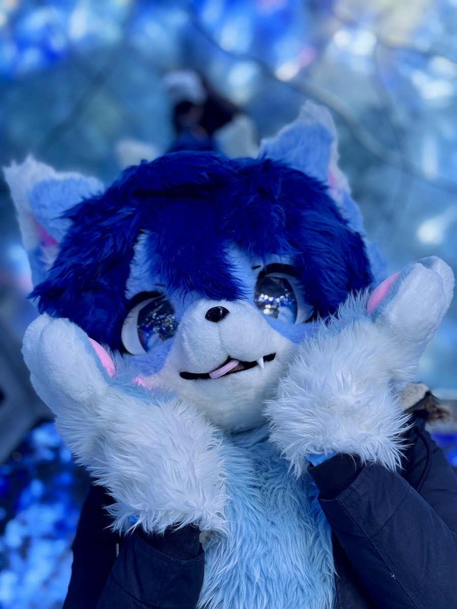 mofumofumikey's tweet image. What flavour is your fursona?
I'm thinking Blue Ramune here.
