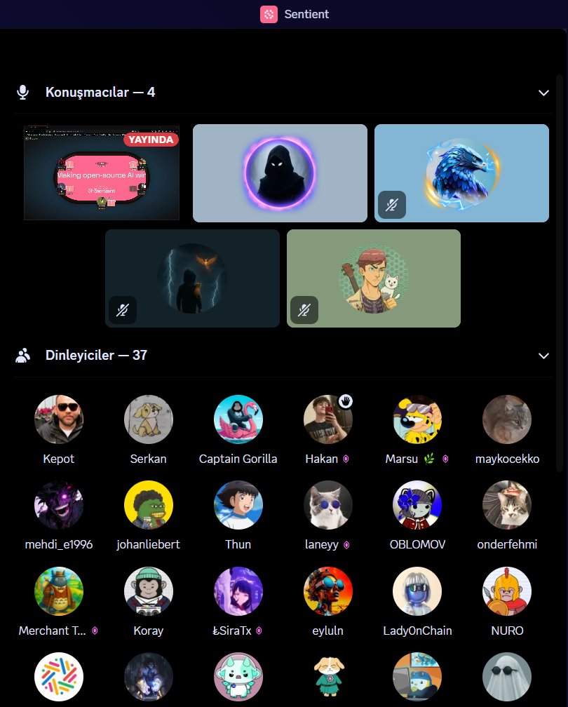 Captain Gorilla 🦍 tweet media