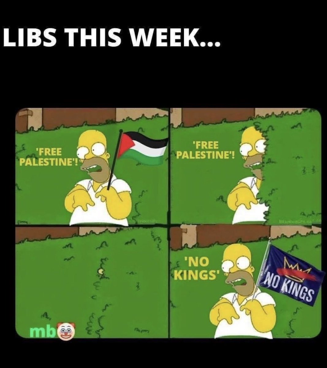 Pauloforliberty's tweet photo. @catturd2 What https://t.co/yX4BsUcpYc