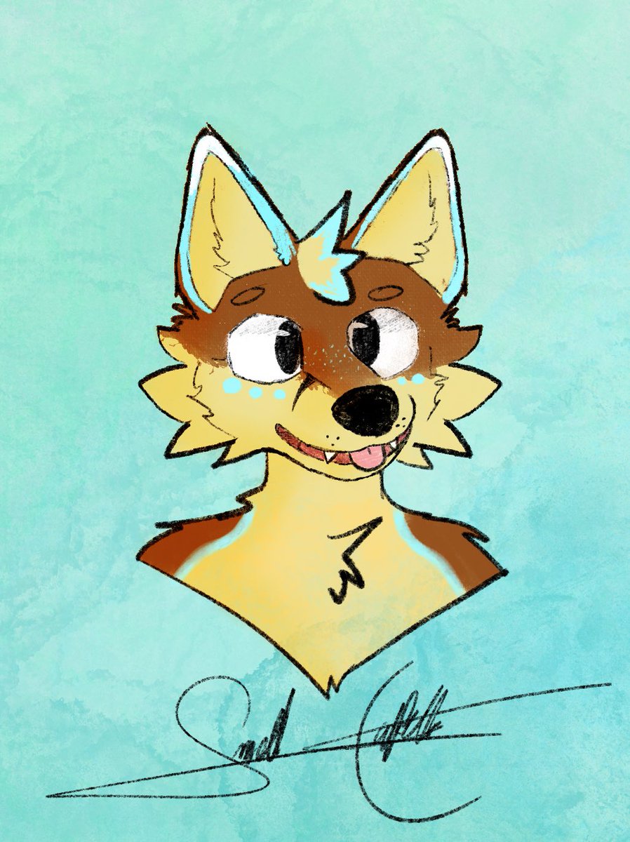 ApolloFolfsky🔜FWA tweet media