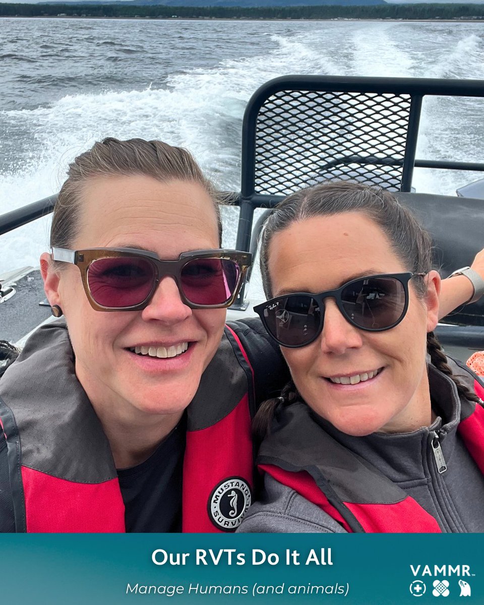 vammrs's tweet image. Our RVTs do it all! Happy #vettech month!