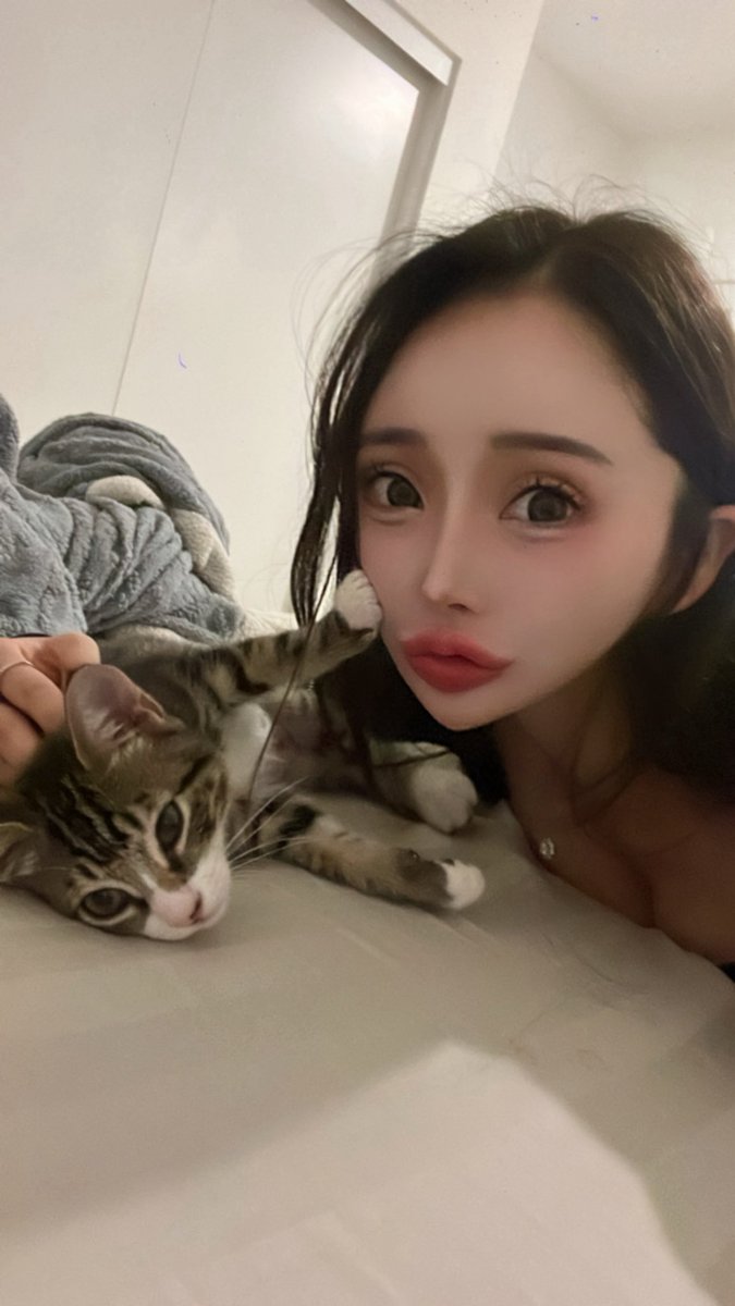 misakichi__gram's tweet photo. ﾔﾒﾛ……😾💢 https://t.co/KNL5TiO6Ih
