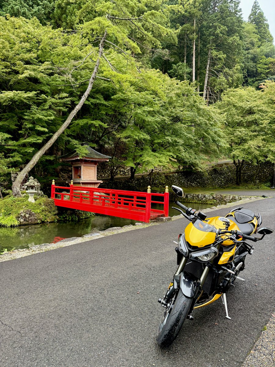 弁財天様が祀られています✨️

おはようございます😙

今日も1日ご移動ご安全に🏍³₃