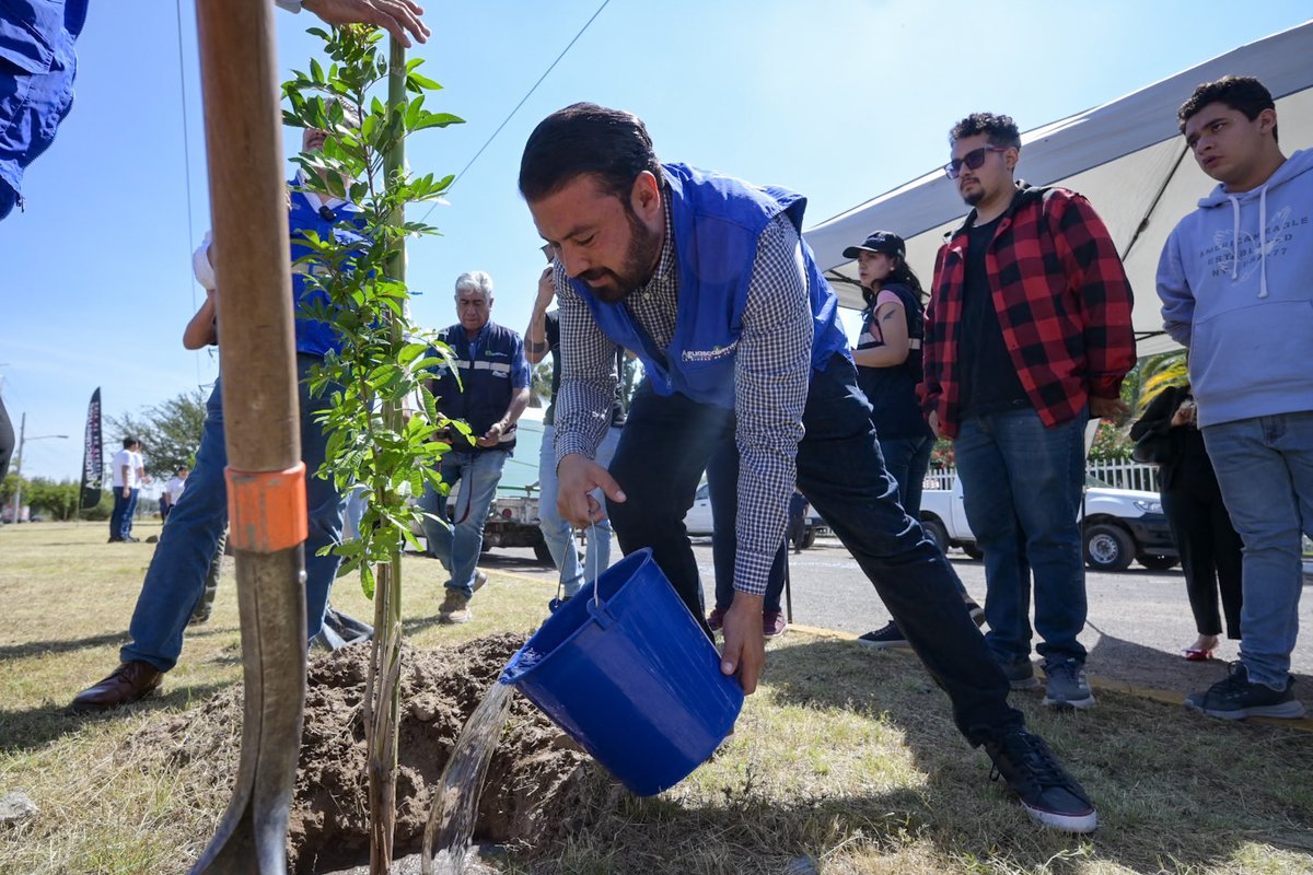 REFORESTACIÓN EN AV. AGUASCALIENTES 🌳✨

Este jueves como parte del programa “El Árbol de mi casa” se plantaron 30 pirules brasileños y 20 guajes en Av. Aguascalientes, esquina con Av. Alameda, junto con las y los alumnos del CAM (Centro de Atención Múltiple ) Laboral 1.