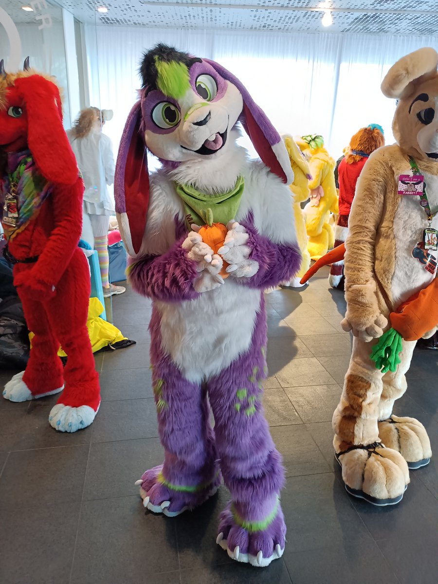 MaxettoBuni's tweet photo. Hey, wanna play together with me and my carrot this #FursuitFriday ?
We could play catch! 🥕

📸@Cesco_Cat https://t.co/oFiTUf43fH