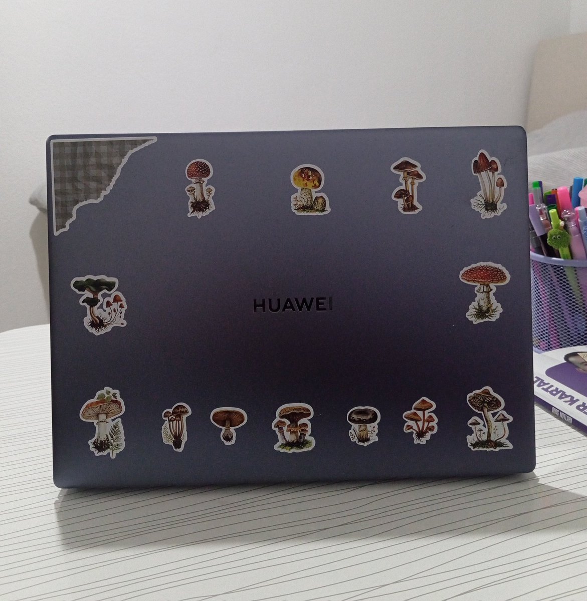 anı kalması için her şeyi buraya atmak istiyorum bünyede şu şekil bir duygusallık hakim