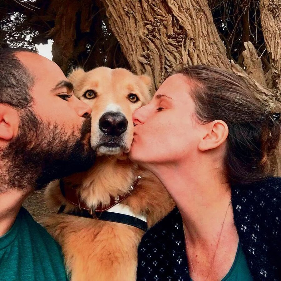 Gazans savagely — purposely — murdеrеd at least 60 family dogs on October 7.

Including sweet Tonto. The beloved Bibas family dog.🧡 

Remember that.