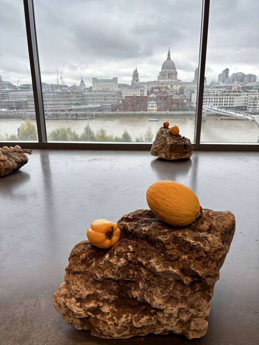 Gail Preston tweet media