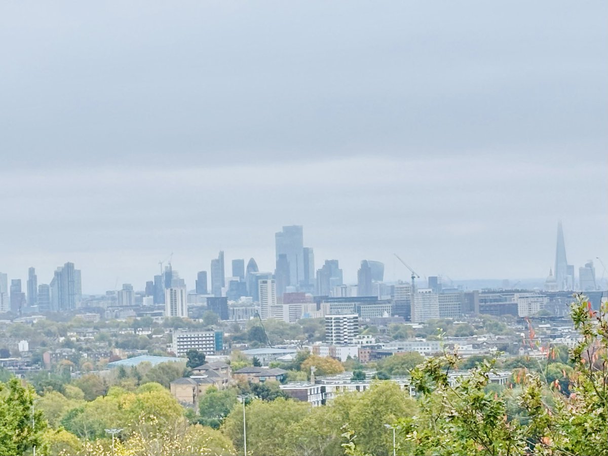 Gail Preston tweet media