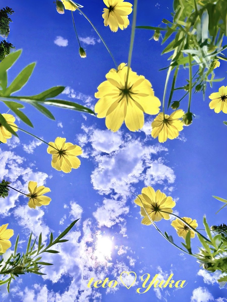 Yumaページ s-l400.jpg