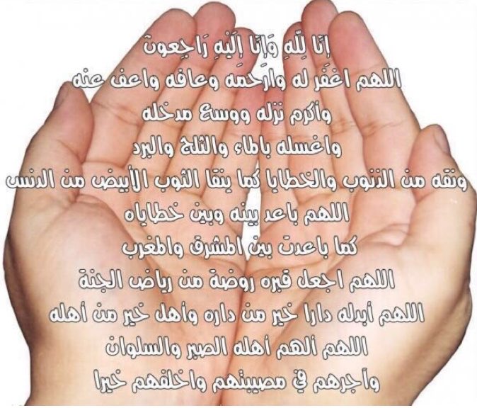 الشقردي 7 tweet media