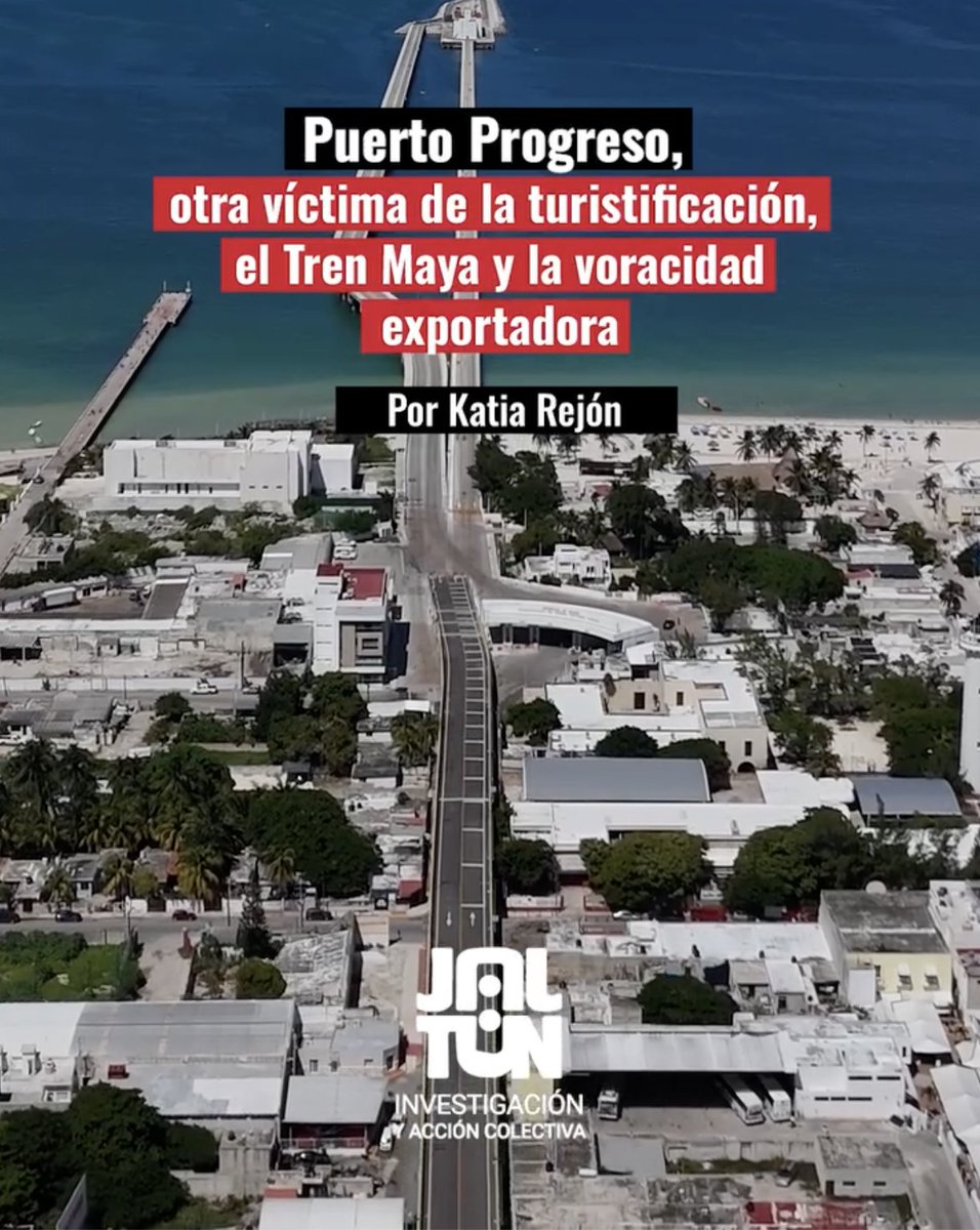 Consejo Civil Mexicano para la Silvicultura tweet media