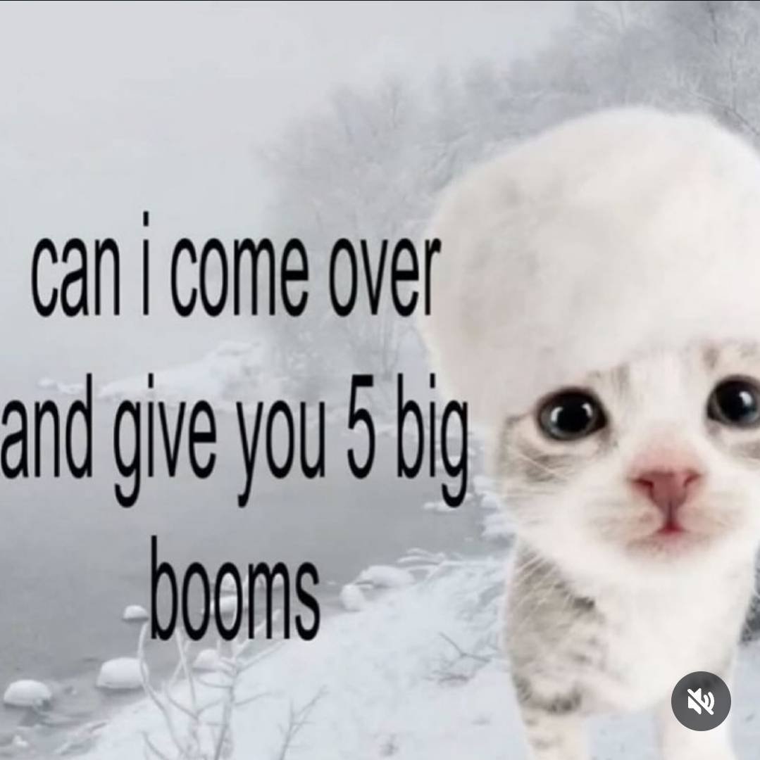 Kelvin 🐢 tweet media