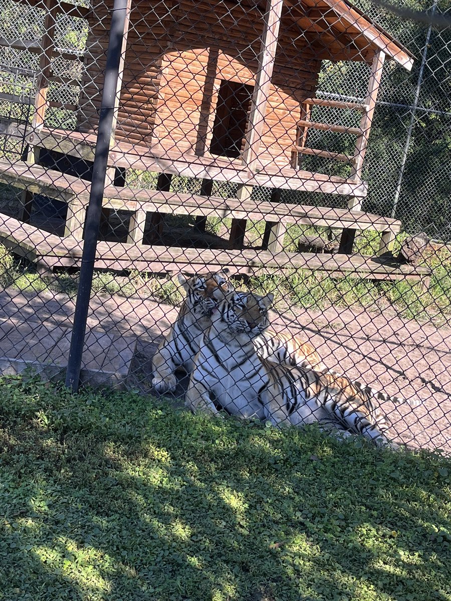 CL🩵VE tweet media