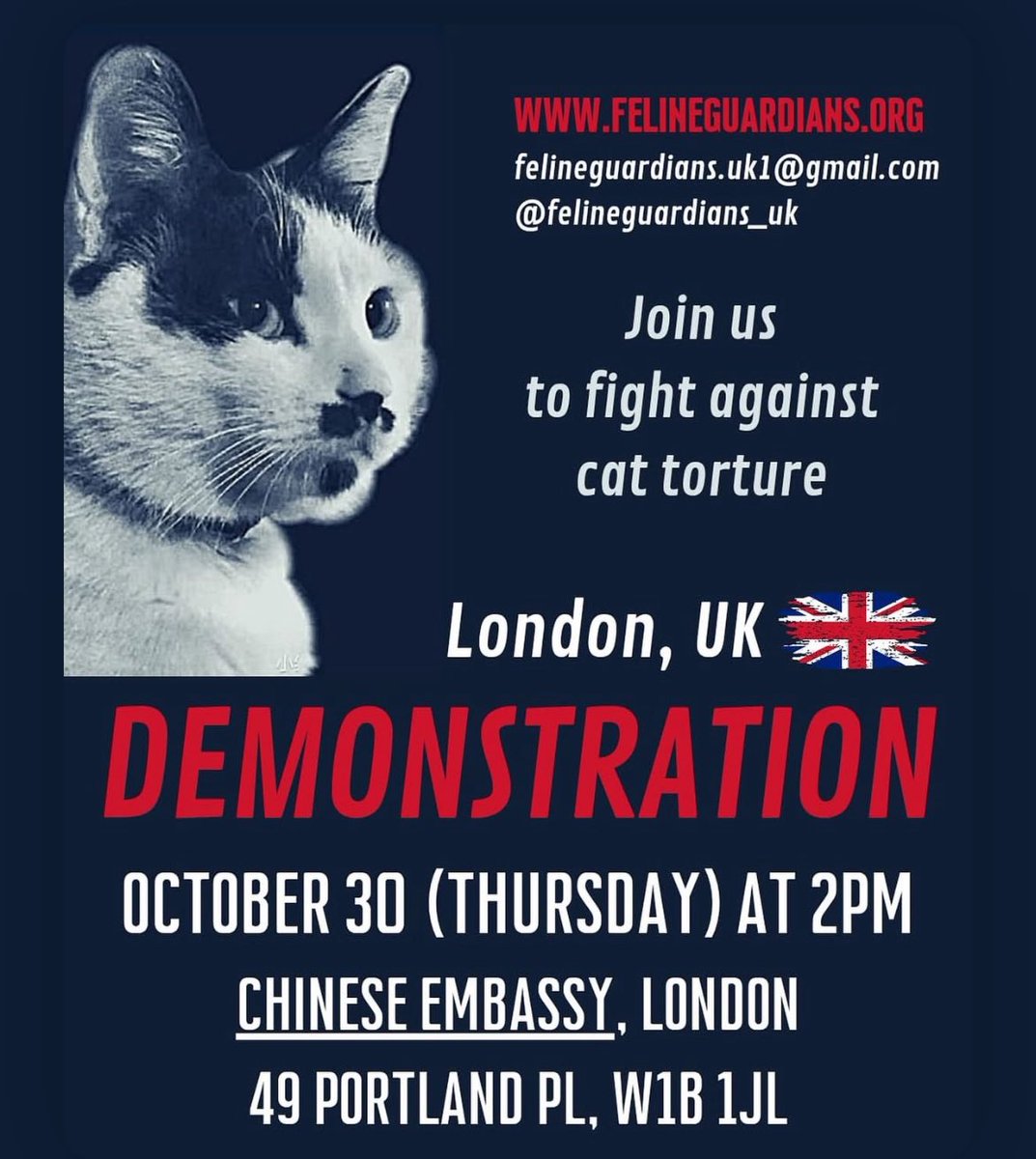🇬🇧 London demo outside the 
Chinese Embassy on October 30.

FG-UK