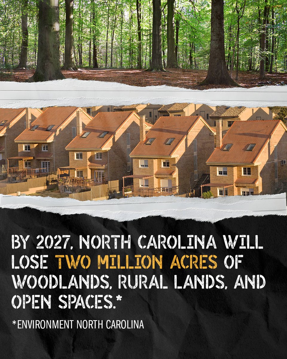 Three Rivers Land Trust tweet media
