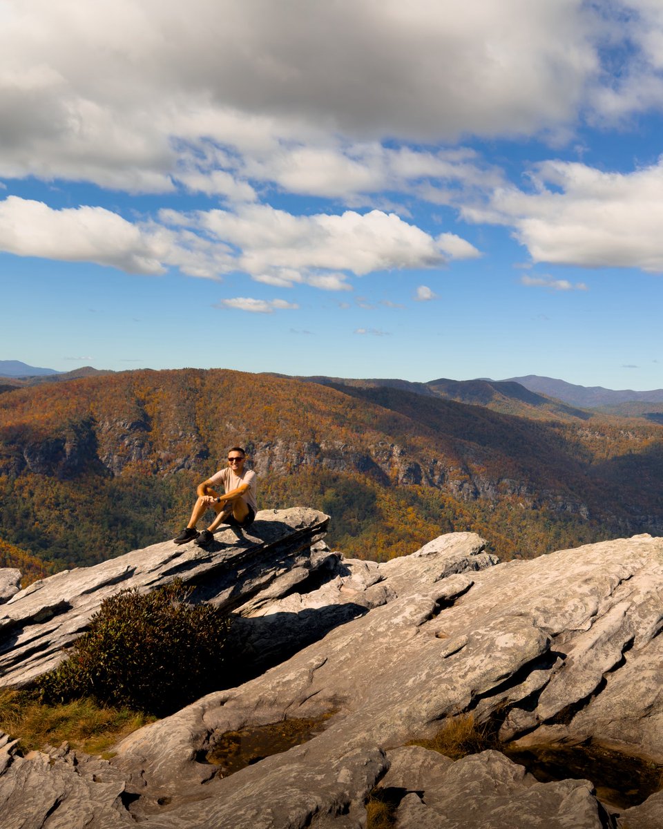 JR Houston tweet media