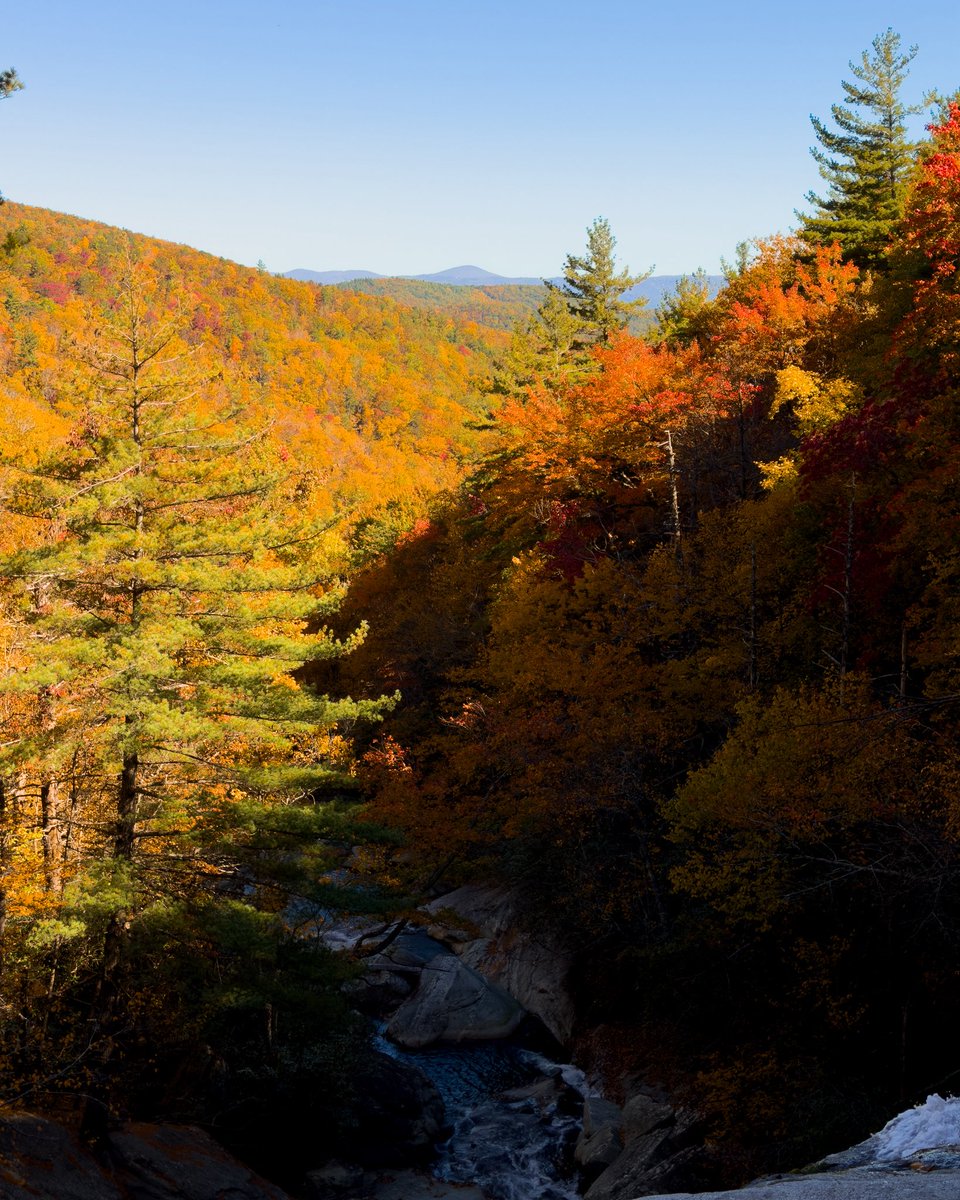 JR Houston tweet media