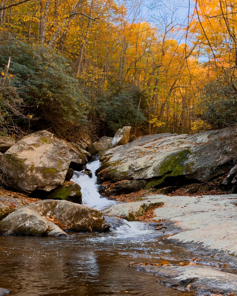 JR Houston tweet media