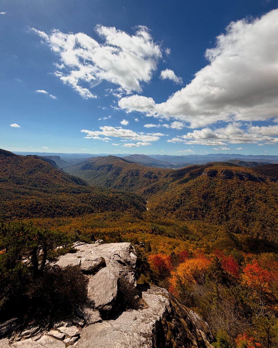 JR Houston tweet media