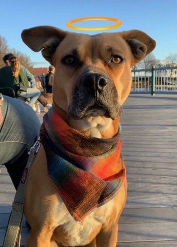 Time to bring this pfp back. Just look at that face!

#SaveWarriorNun #WarriorNun