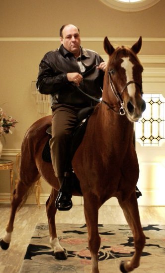 Stablecoin tweet media