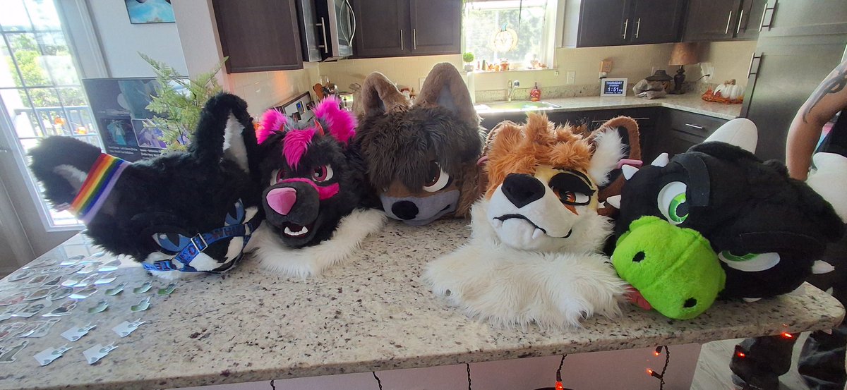 Enjoying a party with <a href="/NeverWasInMiami/">Miami is broke 🔜CFF🔜MFF?</a> , <a href="/LeobaNovaAD/">Leoba Nova</a>, <a href="/FoxyJamz/">FoxyJamz🎃</a>, and <a href="/AsmodeusDaFox/">Captain Asmodeus</a> ! Hoping it'll continue late into the night 😊