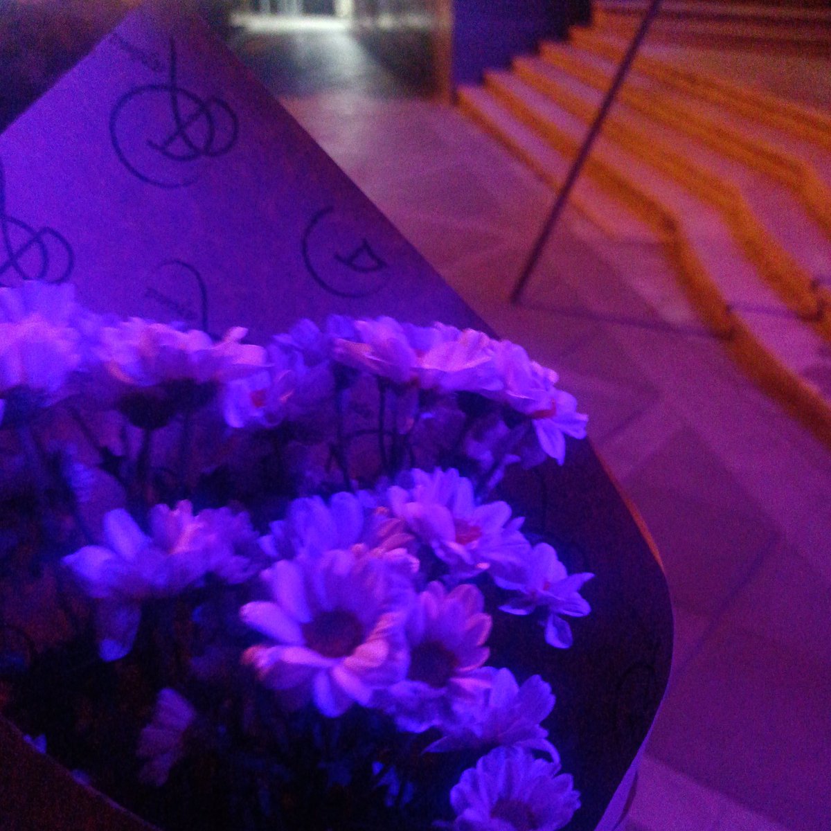 از  مدیریت بانک رفاه برای فراهم کردن بایسکشوال لایتینگ در سراسر شهر کمال تشکر رو دارم