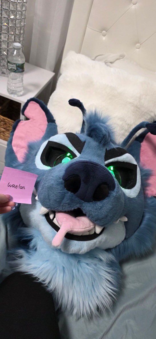 Stitch pubby comming soon👀