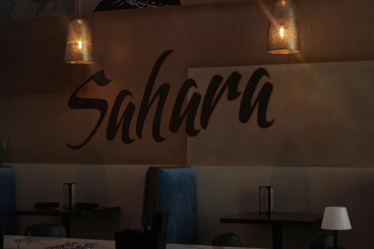 Coaching Detroit Forward tweet media