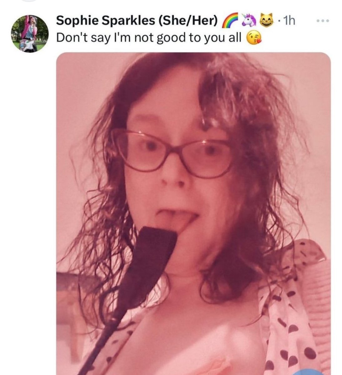 A big “hell no” for the allegedly lovely trans folk who are in fact sex pest deviant men and not even vaguely lovely.