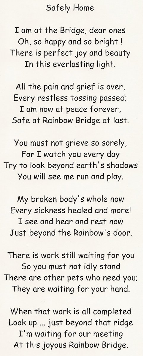 Aunty Ingrid, Daffy’s first humum, penned this lovely and comforting poem of our beloveds arriving Home .. safely and at peace <a href="/NoCryBabyDogs/">daffy ❤️TSK 4ever</a> ❤️ #HealingPurrsPawty