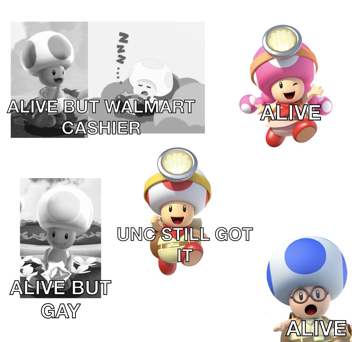 ToadlyToad's tweet image. The current state of the Toad brigade