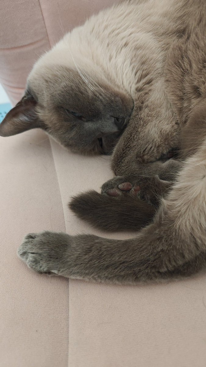 Earthquake tweet media