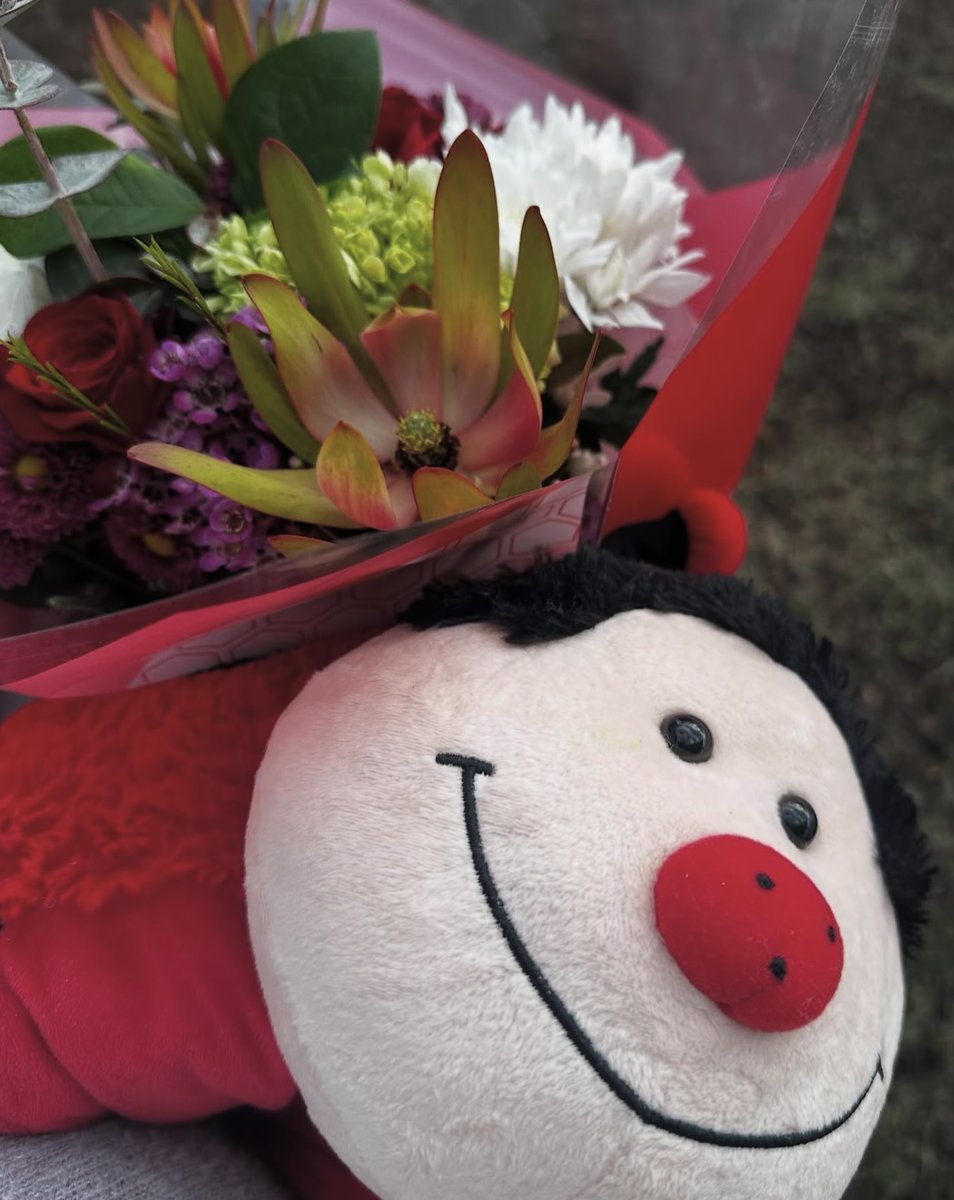 Pillow Pets tweet media