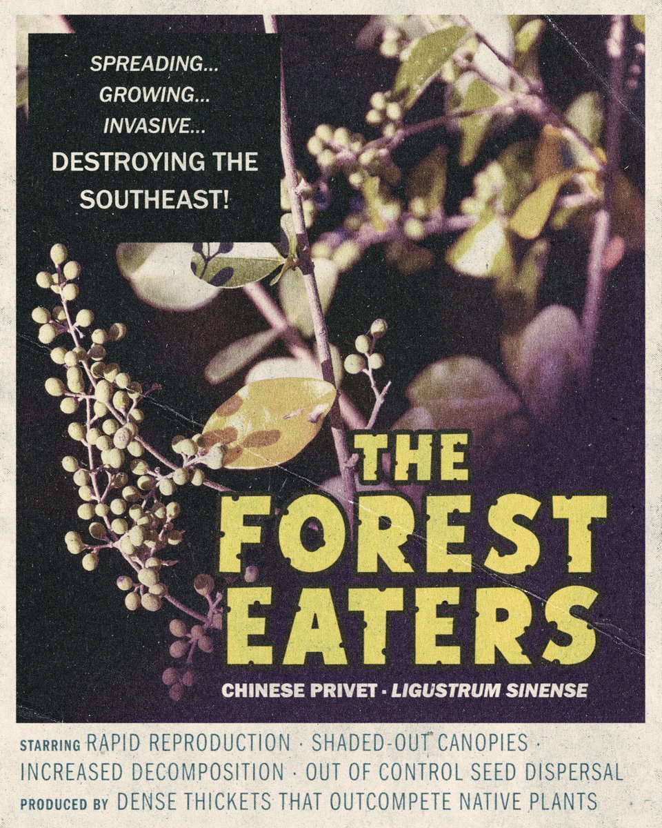 Three Rivers Land Trust tweet media