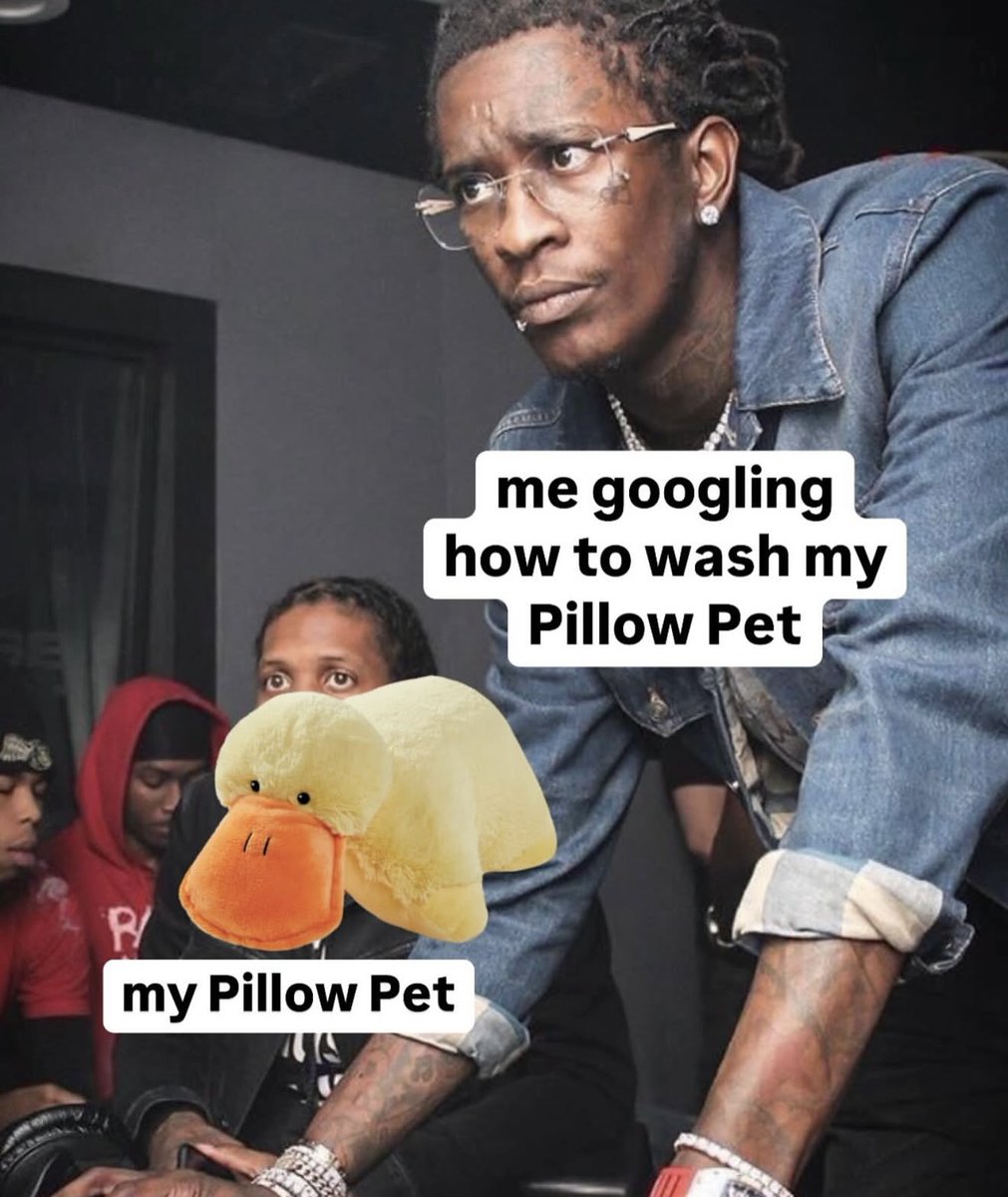 Pillow Pets tweet media