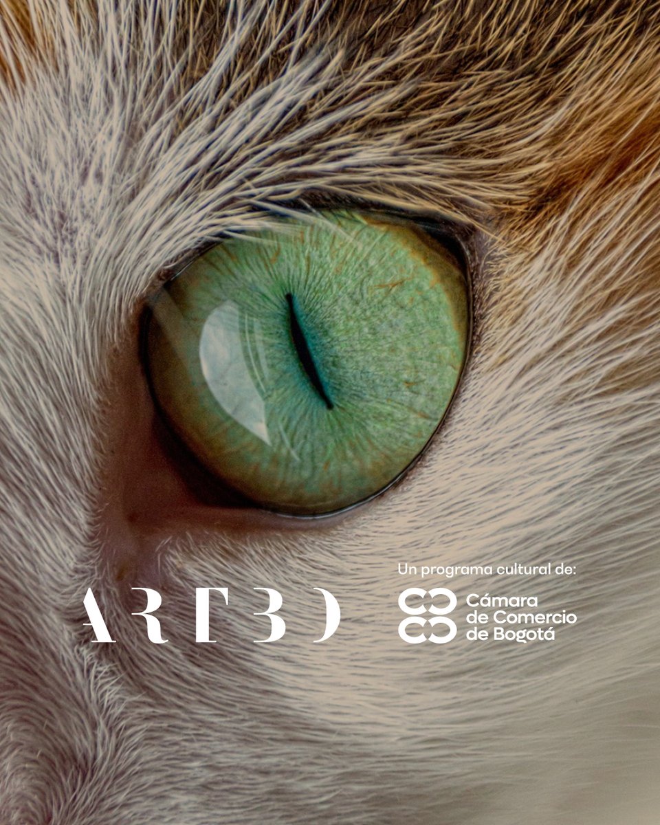programaARTBO's tweet image. Te invitamos a la inauguración de 𝘊𝘶𝘢𝘯𝘥𝘰 𝘭𝘰𝘴 𝘰𝘵𝘳𝘰𝘴 𝘯𝘰𝘴 𝘮𝘪𝘳𝘢𝘯: 𝘈𝘧𝘦𝘤𝘵𝘰𝘴 𝘺 𝘳𝘦𝘱𝘳𝘦𝘴𝘦𝘯𝘵𝘢𝘤𝘪𝘰𝘯𝘦𝘴 𝘦𝘯𝘵𝘳𝘦 𝘦𝘴𝘱𝘦𝘤𝘪𝘦𝘴, una exposición curada por Aliens Institute, colectivo conformado por María Adelaida Samper y Gabriel Zea.
La…