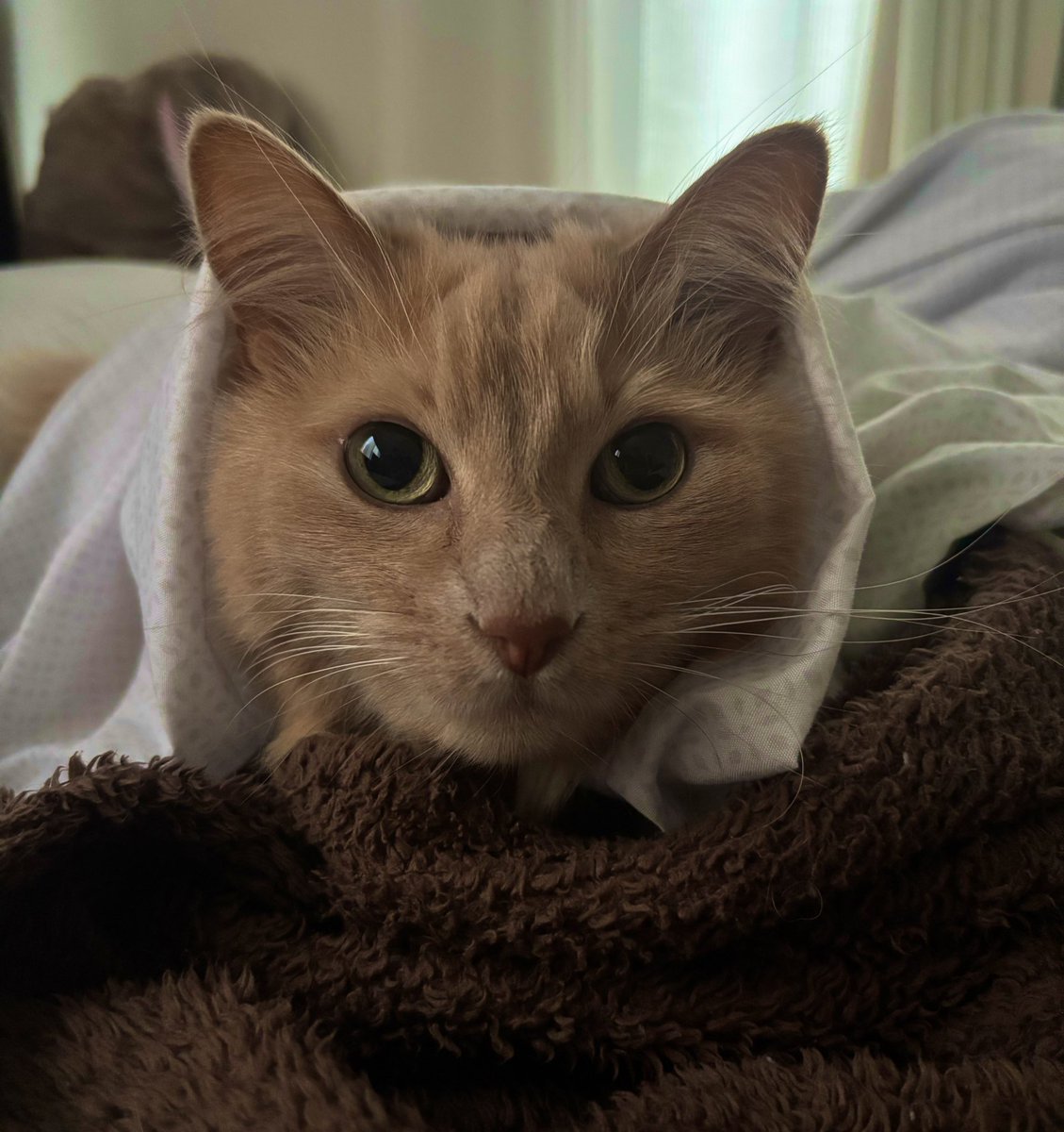 MAKO🎧 (@FXLRS114ci2020) / Posts / X