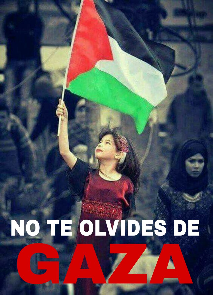 #FreePalestine cese el genocidio!!! <a href="/REDROJA4/">RED ROJA 🔻</a>
<a href="/JohanaTablada/">Johana Tablada de la Torre</a> <a href="/CFKArgentina/">Cristina Kirchner</a> <a href="/dilmabr/">Dilma Rousseff</a>
<a href="/VHMok/">Víctor Hugo Morales</a> <a href="/AmaliaR622/">✨Amalia Rodríguez ✨🌹</a> <a href="/Reylope13/">Rey Lopez</a> <a href="/EVilluendasC/">Enrique Villuendas</a> <a href="/GuerreraVilma/">Vilma Guerrera</a> <a href="/pinal95461/">Felicia Moreno Pinal</a> <a href="/Claudiashein/">Claudia Sheinbaum Pardo</a> <a href="/ErnestoPulidoG2/">Ernesto Pulido Gonzále</a> <a href="/carloslevelgar/">Carlos Level. Gloria Bravo Pueblo</a>   <a href="/ArturoG25790145/">Arturo Gomez</a>  <a href="/samantha_font/">Samantha Font</a> <a href="/OSalanueva/">Olga Salanueva</a> <a href="/grok/">Grok</a>
<a href="/drluthercharry/">Dr. Luther Castillo Harry (Oficial)</a>