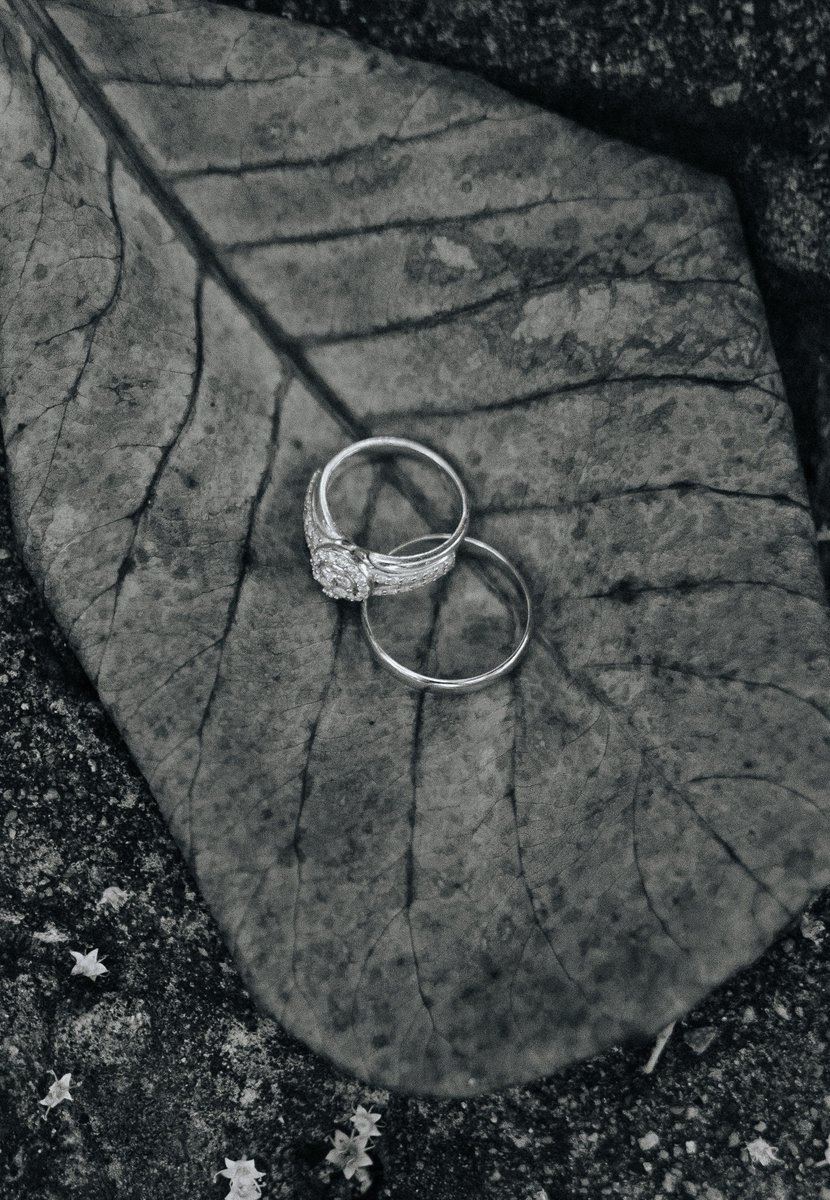 AlexanderFB's tweet image. Medité y pedi 40 mins para que no lloviera y se lograron estas fotos hace una hora ;)

enjoy

#weddings #85mm #ring #shoot #weddingshoot