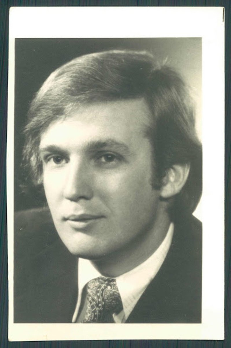 MythoMAGA's tweet image. Portrait of Donald Trump in 1976.
