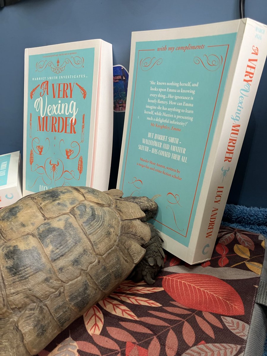 Dr Lucy Andrew tweet media