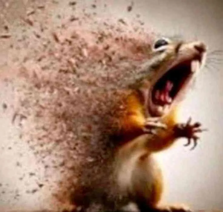 Me during Teemo TOD and you don't burst for me