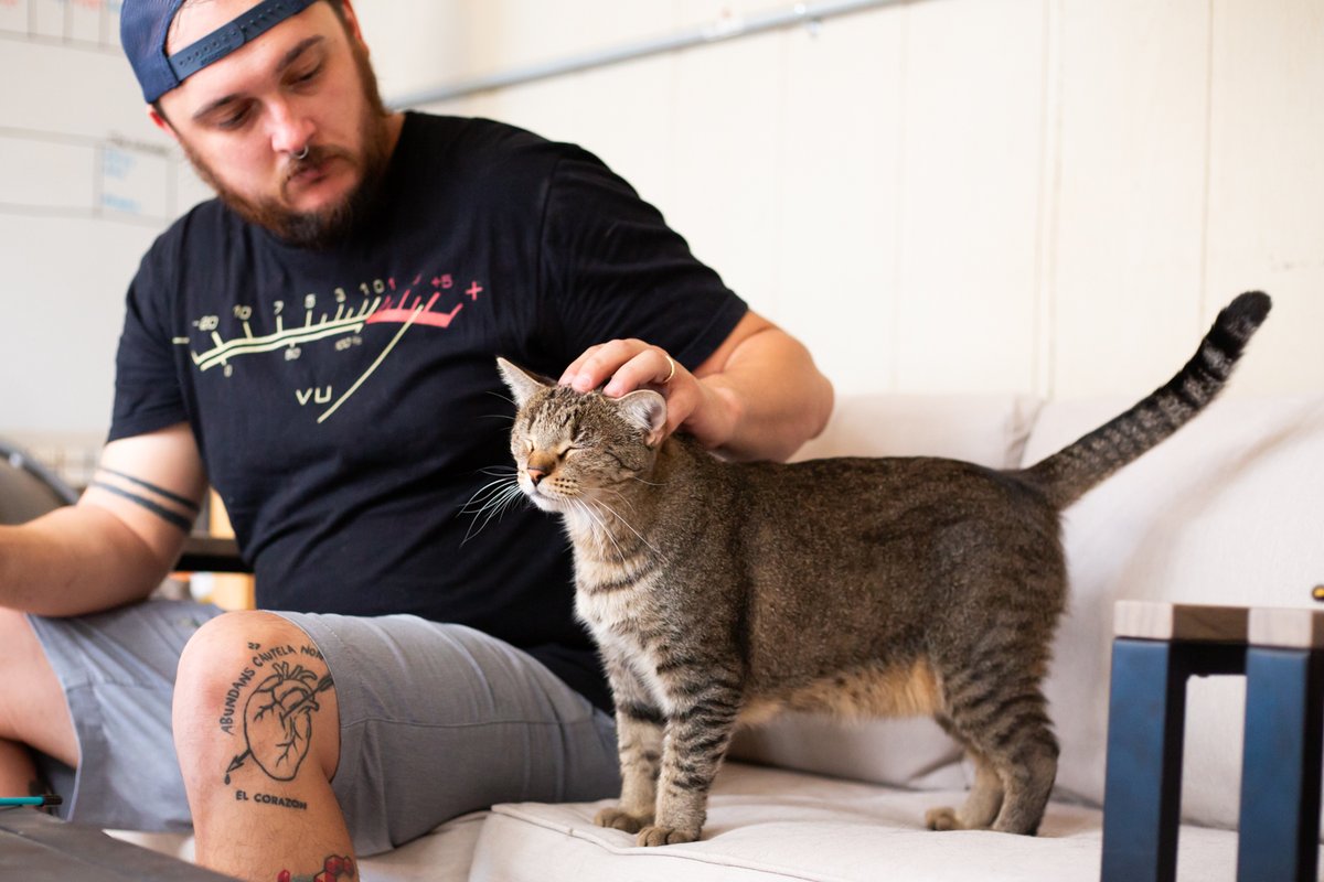 This is Tabi.

She is perfect.

She has been here for more than a year.

Adopt Tabi in #Tucson.