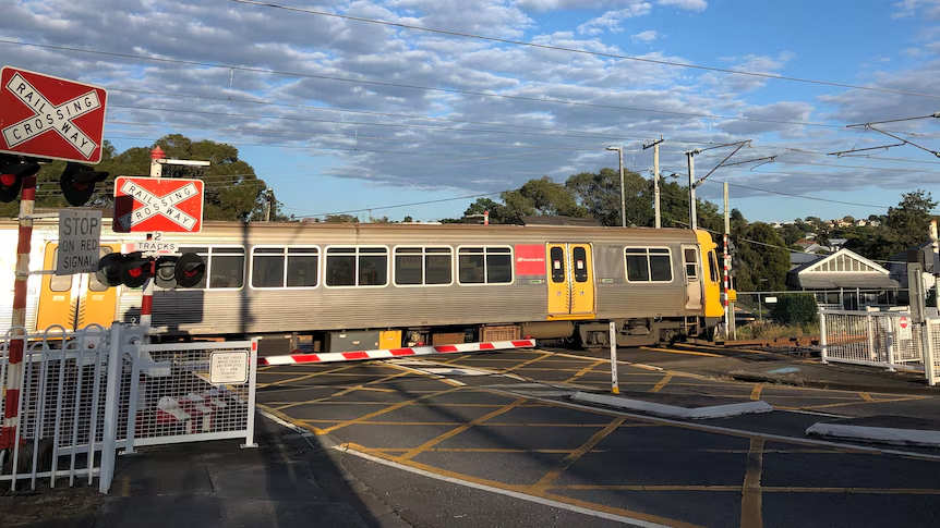 Robert Dow tweet media