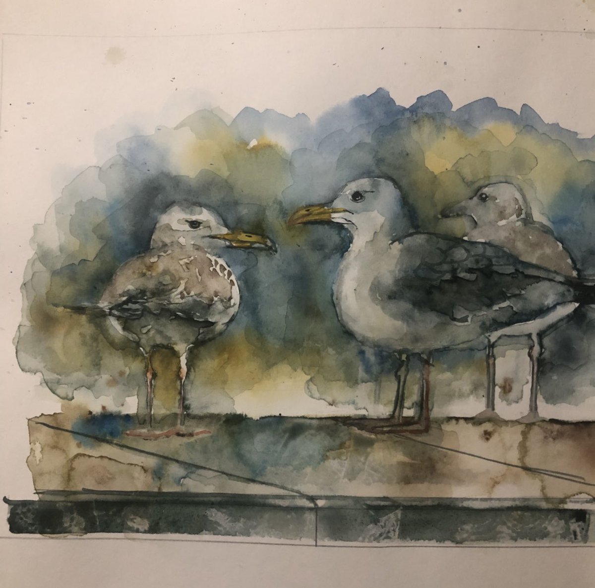 Windy seagulls #Tramore
#watercolour #sketch