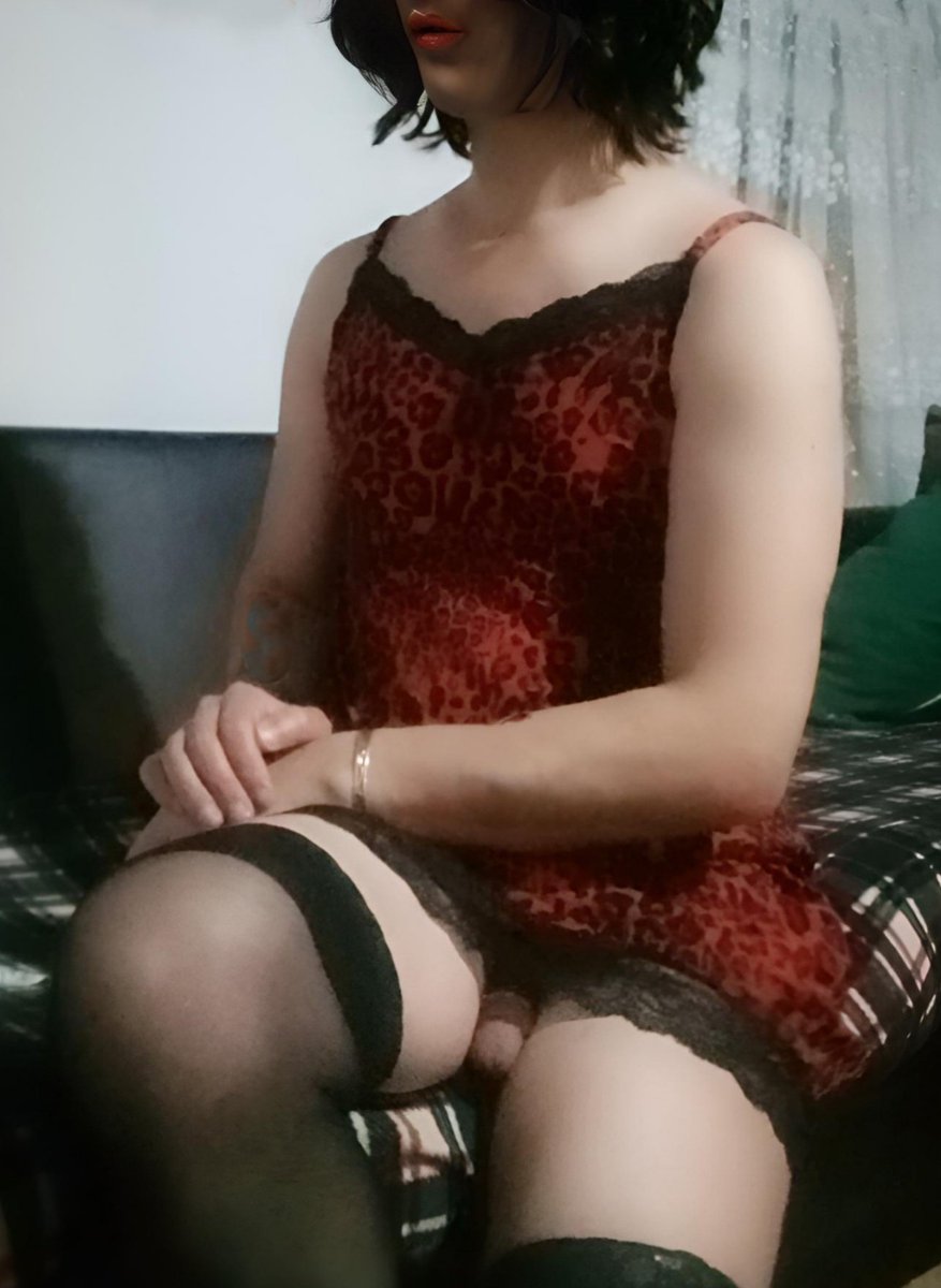 Malzeme büyük dünyada, bir mizahçı için çok malzeme var.