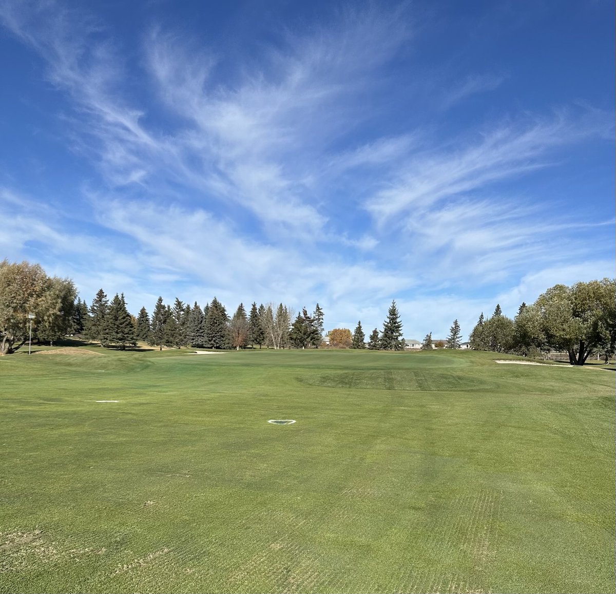 Roy Hawkins tweet media