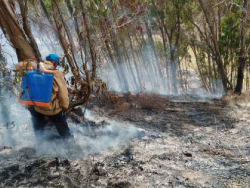 COENPeru's tweet photo. Personal de Defensa Civil y pobladores de la zona extinguieron el #IncendioForestal ocurrido el 13/10 en la localidad Yanaccacca, distrito #Socos, provincia Huamanga (Ayacucho), que dejó 8 hectáreas de cobertura natural destruida. Emergencia atendida. https://t.co/EczelnCxei